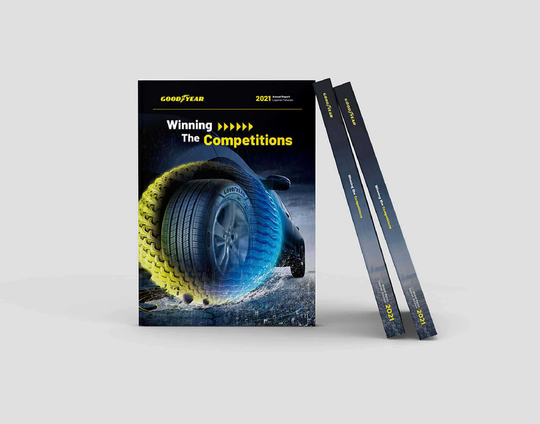 Annual Report Portfolio